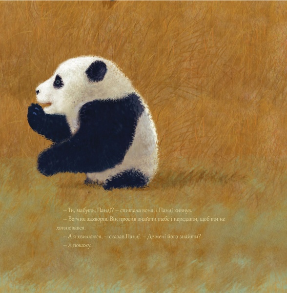 Книга Крістіна Нгуєн «Історії про Пандімуна» 978-617-951-420-3