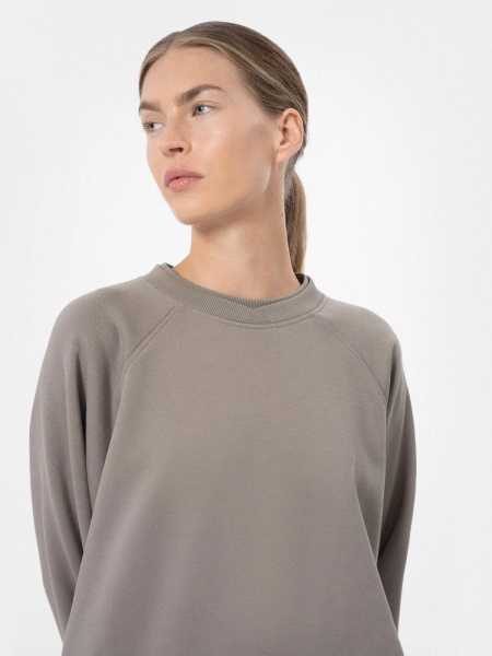 Свитшот 4F WOSWEATSHIRT BLD030 H4Z22-BLD030-26S р. XS светло-серый