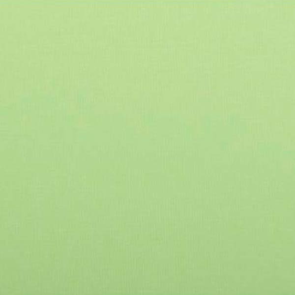 Ролета мини Bella Vita TU1 210x250 см зеленая 