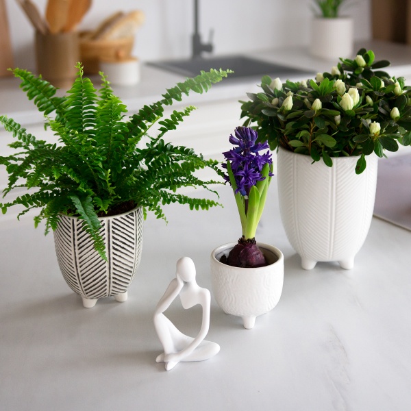 Кашпо керамічне DH-FLOWERS-26 M WHITE 10,5 см Білий 