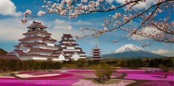 Репродукция Ветка сакуры на фоне пагоды 96x48 см i_96x48_00067 