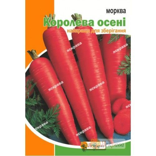 Насіння Яскрава морква Королева Осенi 15г (4823069912260)