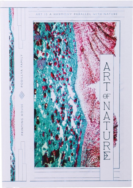 Блокнот А4 в клітинку 120 аркушів в асортименті Поділля