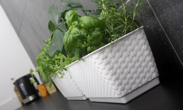 Ящик балконний Prosperplast Ratolla round прямокутний 14,7л білий (76964-449) 