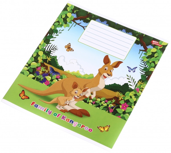 Зошит шкільний 12 аркушів у косу лінію в асортименті Мрії збуваються