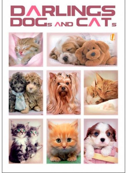 Книга для нотаток А5 60 YES