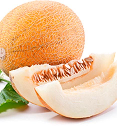 Семена Садовий Світ дыня Леся 2г