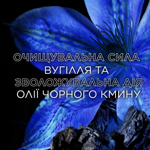 Шампунь Garnier Botanic Therapy Магнетический уголь 400 мл