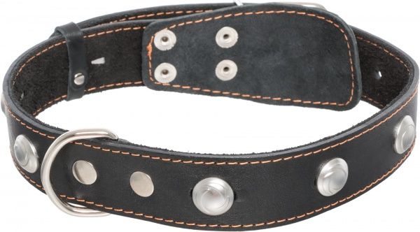 Нашийник Collar одинарний з прикрасами 3,5х48-63 см чорний