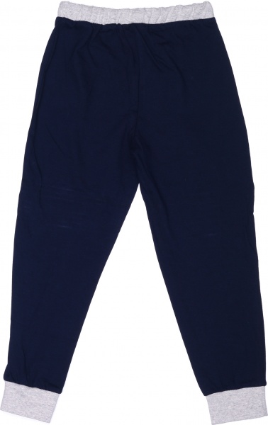 Пижама детская для мальчиков Роза р.98 разноцветный 210593 