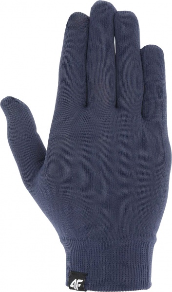 Варежки 4F NOSD4-REU300-31S р. S/M синий