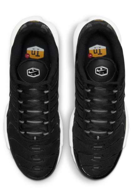 Кросівки Nike WMNS AIR MAX PLUS DM2362-001 р.40,5 чорний