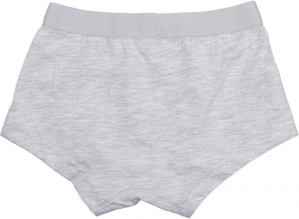Трусы для мальчика Татошка 1113238 р.146 серый 