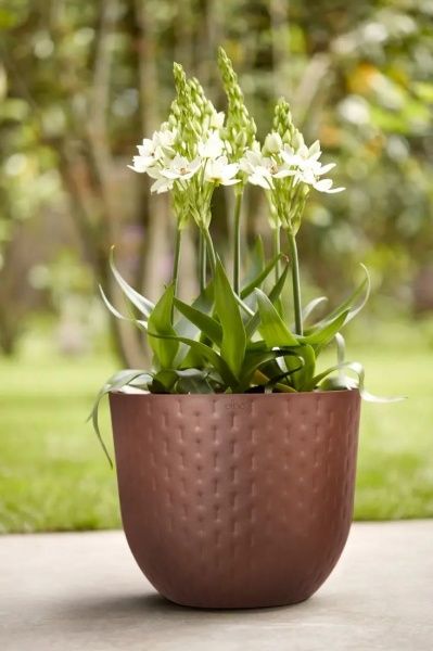 Кашпо пластикове Elho Fuente Grains 480400 круглий 26 л коричневий 