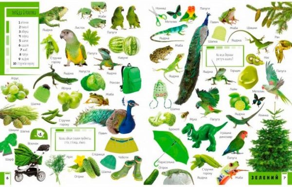 Книга Мария Жученко «Книга 500 перших слів Вивчаємо кольори розвиваємо увагу» 978-617-690-927-9