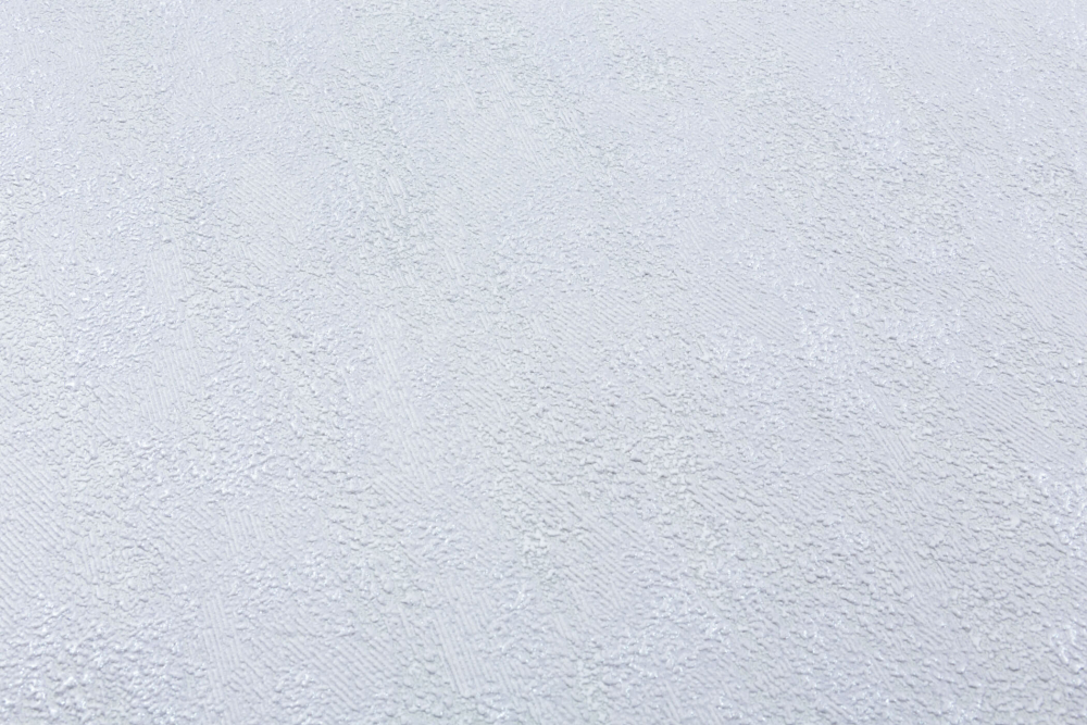 Шпалери зі спіненого вінілу Vinil Rains ДХС-1588/3 1,06x10,05 м