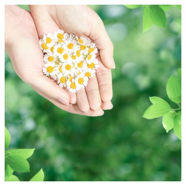 Прокладки Naturella Ultra Maxi 32 шт.