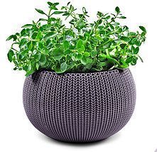 Горшок пластиковый Keter Cozies M овальный фиолетовый 