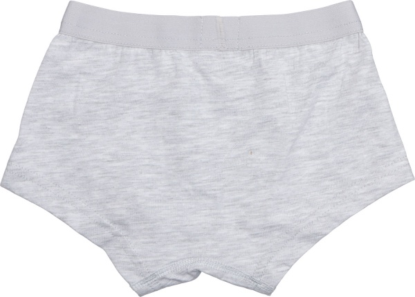 Трусы для мальчика Татошка 1113238 р.128 серый 