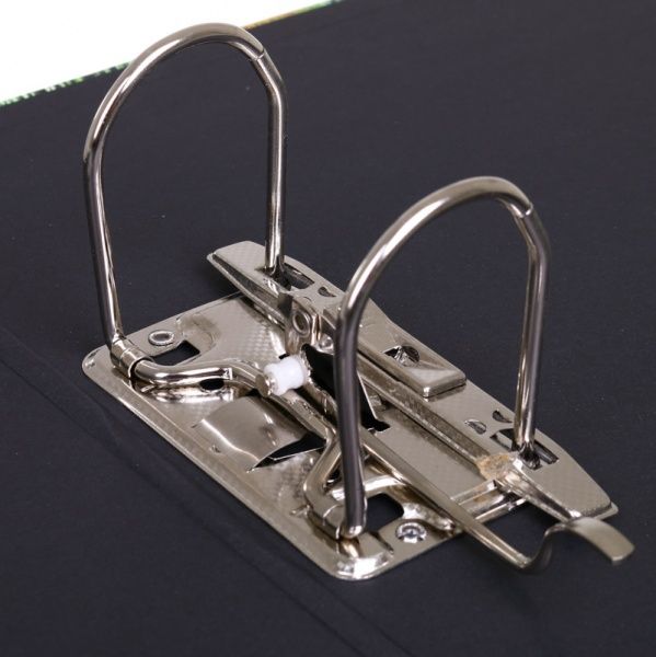 Папка-регистратор Павлин