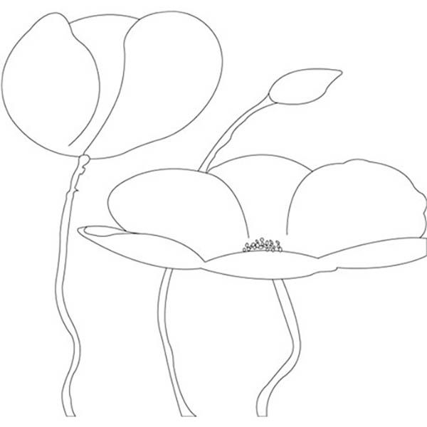 Холст с контуром маки 1 вересня 