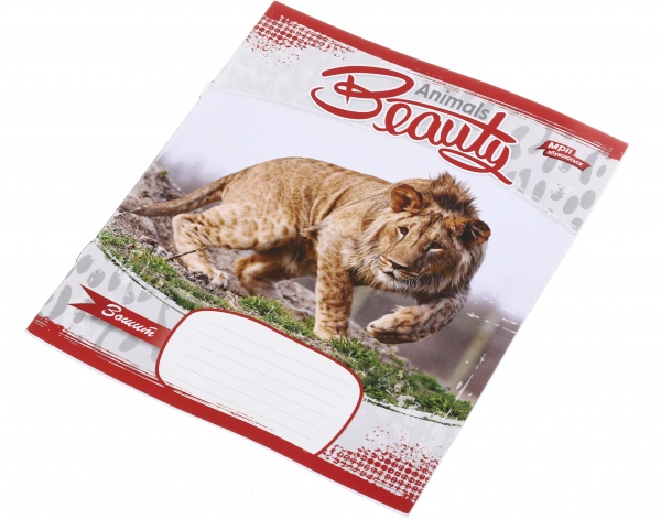 Зошит шкільний 12 аркушів у лінійку дизайн в асортименті Мрії збуваються