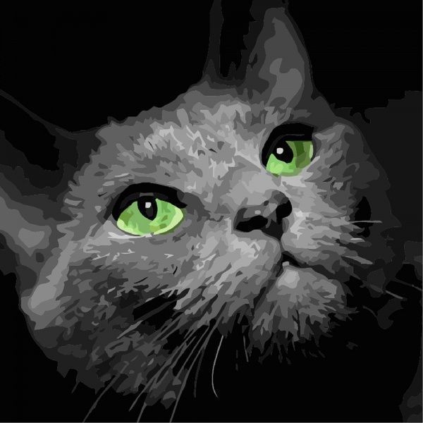 Картина за номерами Хижий погляд 3 Ідейка 