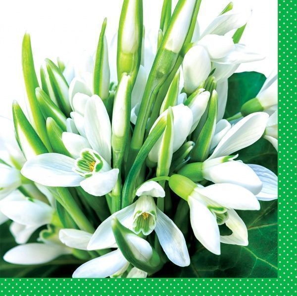 Серветки столові Silken Проліски 33х33 см 18 шт.