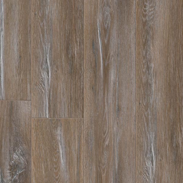 Ламинат Classen Forest 4V AC5/33 8 мм  Дуб Салерно 36279