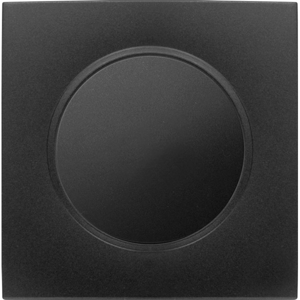 Выключатель одинарный HausMark Bela черный