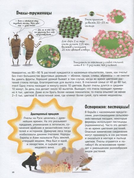 Книга «Книга Бджоли.Про що говорять тварини.»