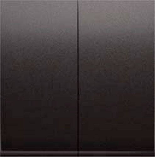 Клавіша вимикача двоклавішний Simon 54 без підсвітки 10 А 250В графіт DKW5/48