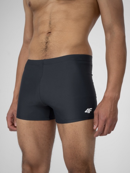 Плавки 4F 4FSS23USWTM009-22S р.L серый