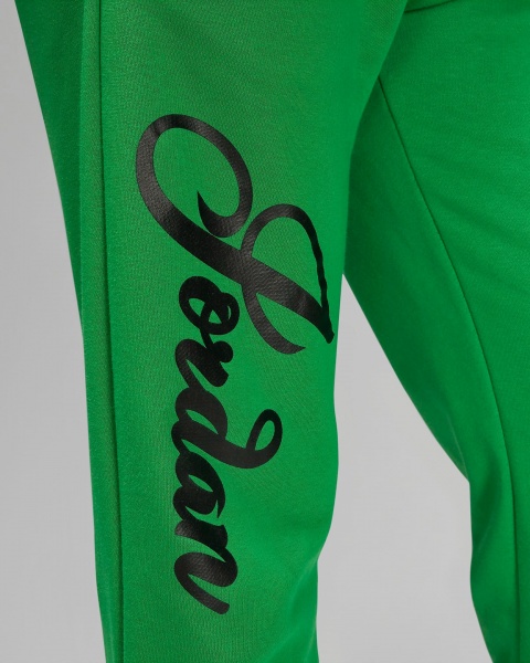 Брюки Nike W J BRKLN FT GFX PANT DZ3384-310 р. L зеленый