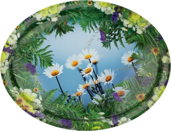Таця Ромашки 28x37x2 см PD001 Gala