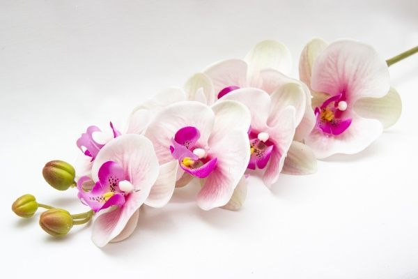 Квітка штучна Орхідея 72 см рожева