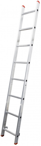 Лестница 3-секционная универсальная BauGut Meister 3T 3х8 
