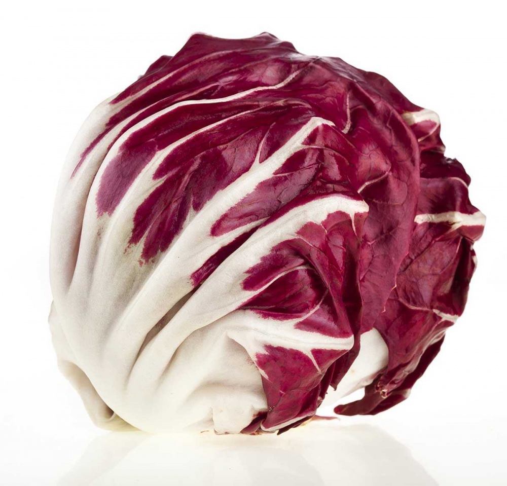 Семена Професійне насіння цикорий Ред бол 0,5г (4820176690395)