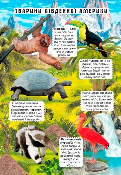 Книга «Книжка з секретними віконцями. Відкрий та дізнайся. Тварини планети Земля» 978-966-936-950-5