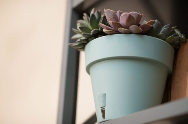 Вазон пластиковий Santino LATINA круглий 14,5л нефритовий 