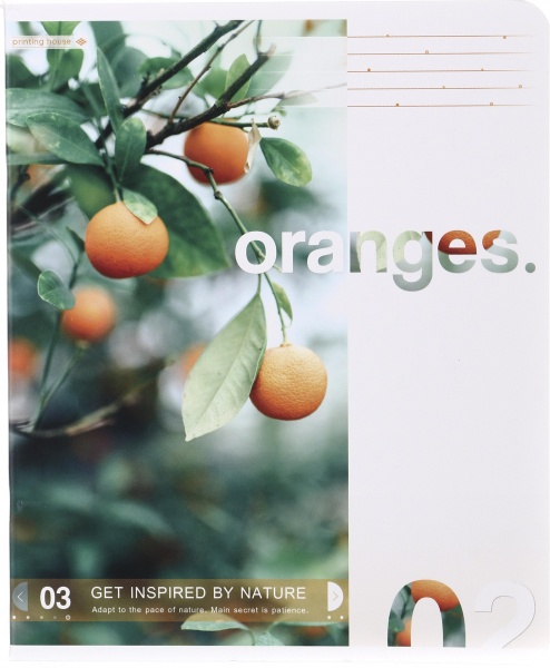 Тетрадь школьная Американская мечта 60 листов в линию Поділля