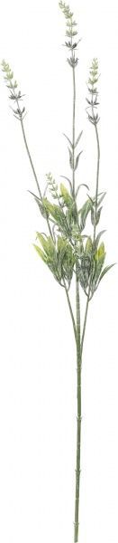 Рослина штучна Пшенія HONGYE B-07076 зелений