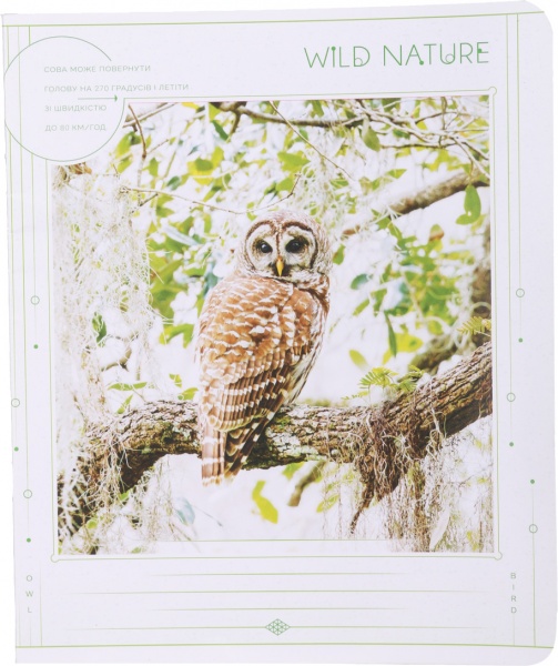 Тетрадь школьная 24 листа в линию УФ-лак в ассортименте