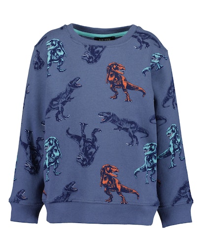 Реглан для хлопчика Blue Seven трикотажний Діно р.98 синій 864701 X* 