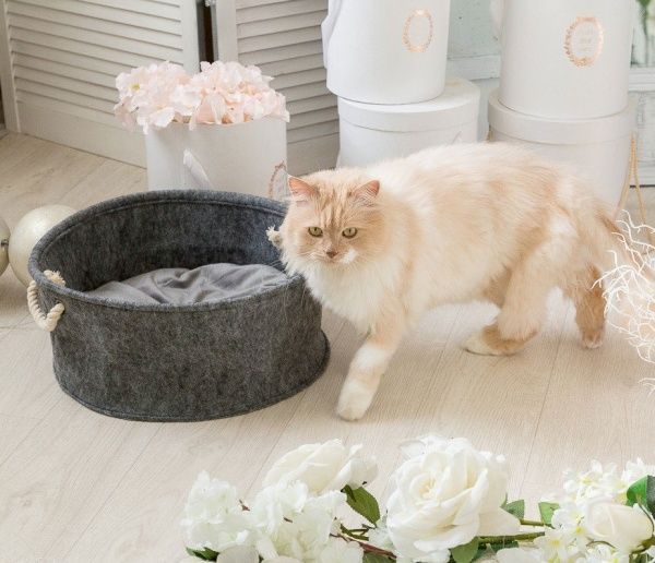 Будиночок для тварин DigitalWool Кошик з ручками без подушки DW-91-07