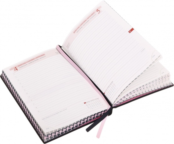 Щоденник датований Gabi Leo Planner A5 2023