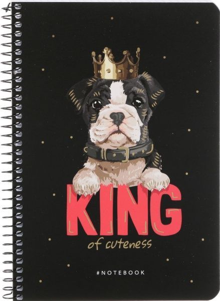 Тетрадь школьная А5 80 листов в клеточку A5-SC-080-6077K Student Школярик