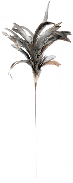 Перья декоративные HOFF Argento 6x80 см