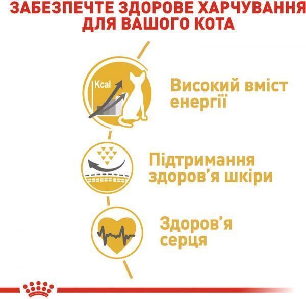 Корм Royal Canin Sphynx Adult 400 г