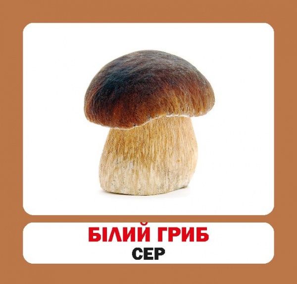 Книга «Навчальний посібник. Гриби . англ-укр»